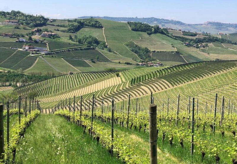 Full-Day Langhe Region Tour with Wine Tasting Experience - Price and Logistics