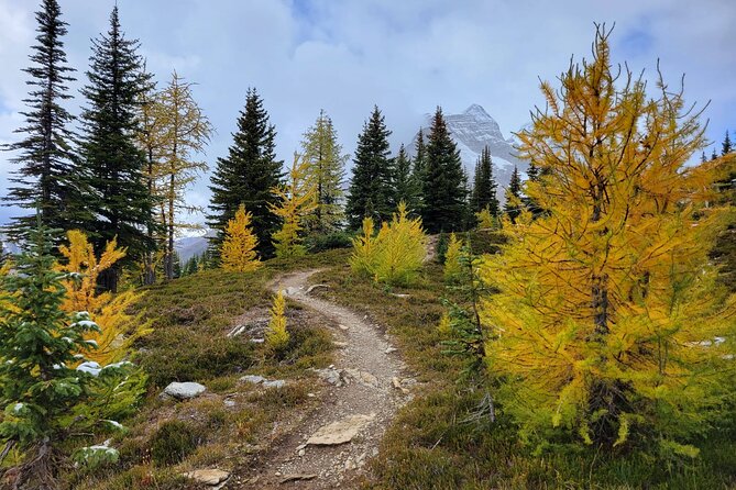 Full-Day Larch Hike, Departure From Banff - Confirmation and Additional Information