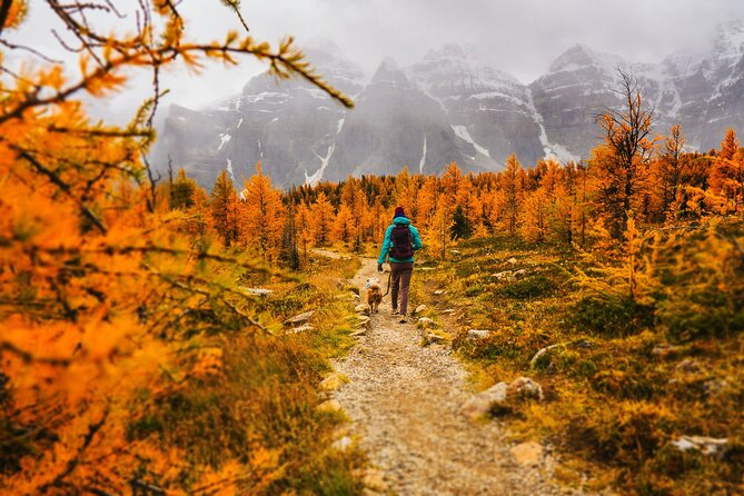 Full Day Larch Hike, Departure From Lake Louise - Maximum Travelers