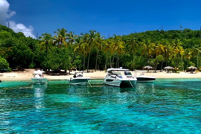 Full Day Luxury Catamaran Turtle Snorkel and Beach Getaway - Accessibility and Health Information