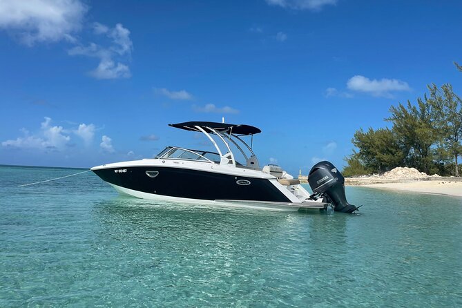 Full-Day Luxury Private Rose Island Pigs and Turtles Excursion - Luxury Private Experience