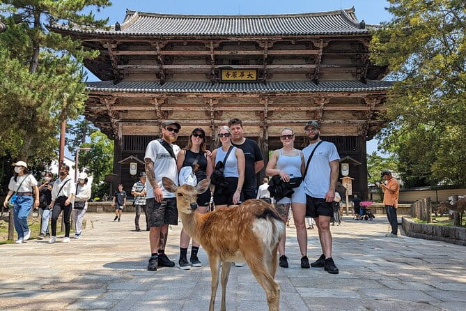 Full Day Nara E Bike Tour and Osaka History Food Tour - Food and Drink Details