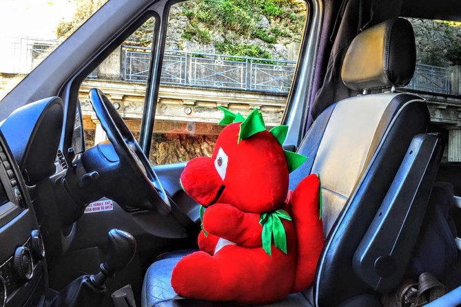 Full-Day North Wales Sightseeing Adventure From Manchester - Pontcysyllte Aqueduct and Countryside