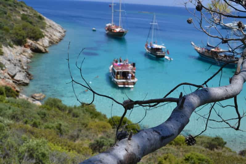 Full-Day Orak Island Boat Trip from Bodrum - Who Will Love This Tour?