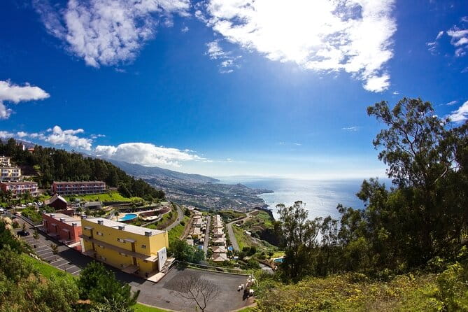 Full-Day Porto Moniz Madeira Island Tour - Who Would Love This Tour?