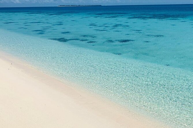 Full-Day Prison Island and Nakupenda Sandbank With Lunch Buffet - Pickup Details