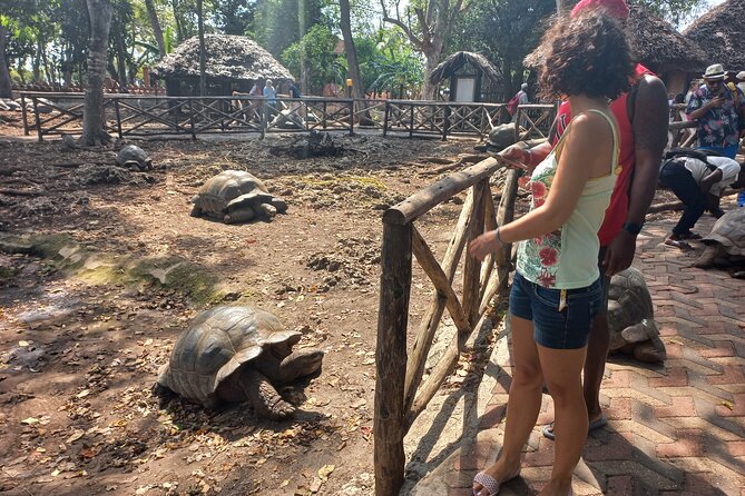 Full-Day Prison Island, Nakupenda and Stone Town Tour With Lunch Buffet - Getting There