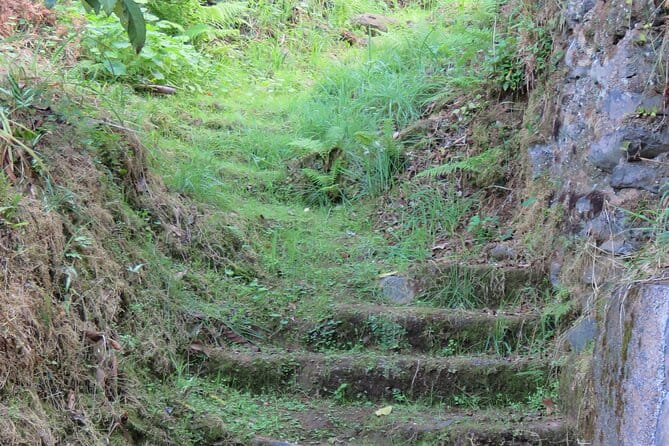 Full Day Private 4x4 Adventure in Madeira - Cultural and Historic Highlights: Santana and Santo da Serra