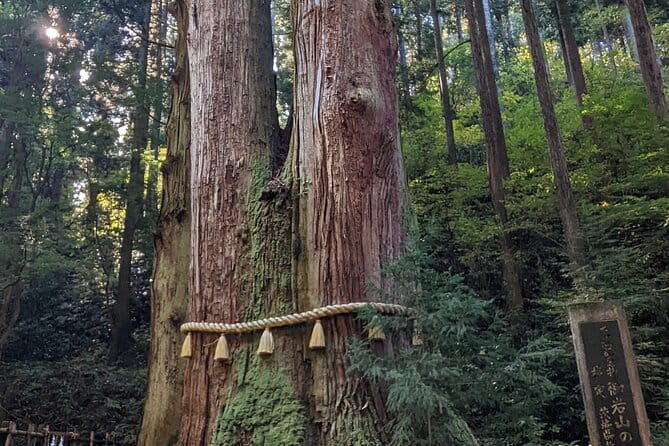 Full-Day Private Adventure in Ibaraki and Fukuroda Waterfalls - Logistics and Meeting Details