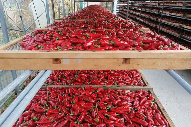 Full Day Private Basque French Countryside from San Sebastian - Final Thoughts