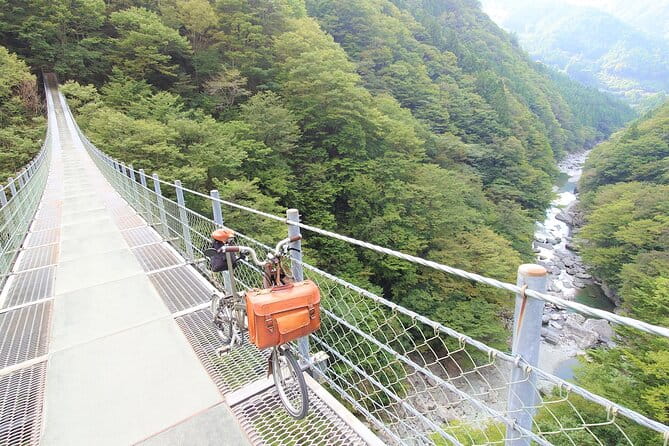 Full-Day Private Bike Tour of Oku-Iya - Key Points