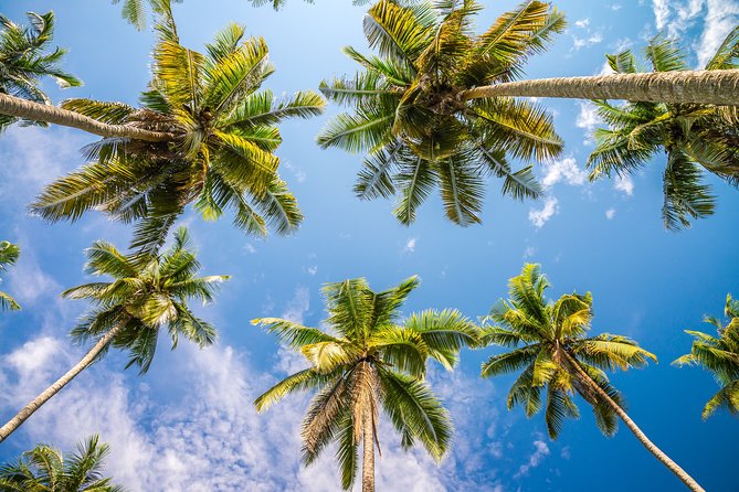 Full Day Private Boat Charter Exploring the Best of the USVI - Exploring the USVI by Boat