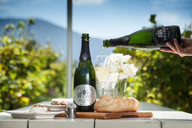 Full Day Private Cape Highlights - Health and Accessibility