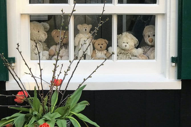 Full-Day Private Guided Countryside Tour from Amsterdam by Bike - What Makes This Tour Stand Out?