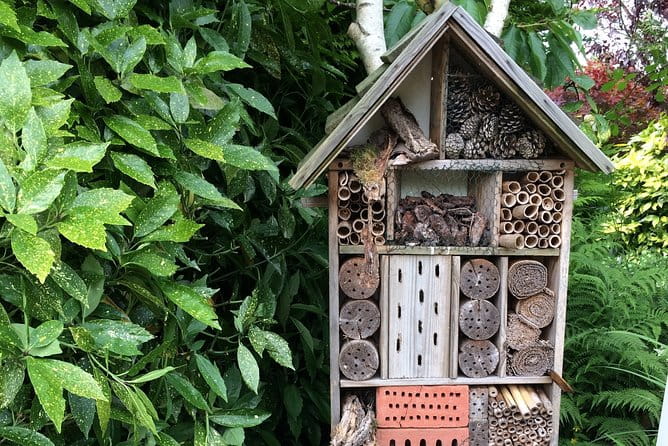 Full-Day Private Guided Countryside Tour from Amsterdam by Bike - Final Thoughts