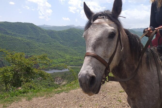 Full-day Private Guided Horseback Ride through Dzoraget Canyon - The Picnic and Cultural Touchstones