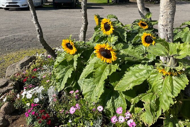 Full Day Private Guided Tour in Golden Circle of Iceland - Logistics and Practical Tips