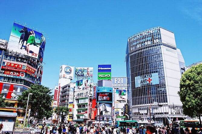 Full-Day Private Guided Tour in Tokyo - Costs and Inclusions