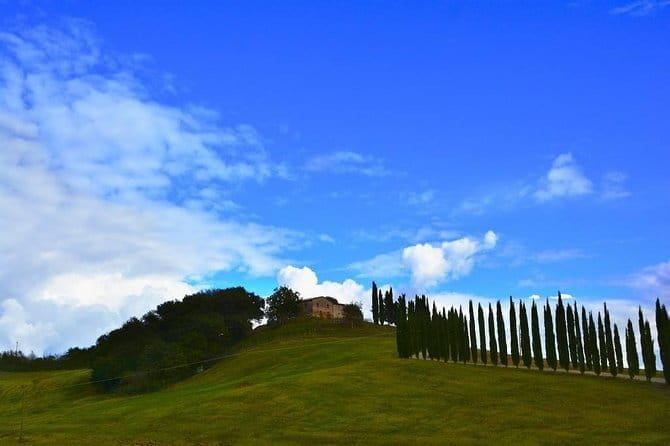 Full Day PRIVATE Guided Tour in Val D'Orcia Region - The Sum Up