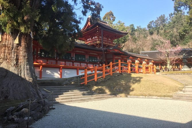 Full-Day Private Guided Tour to Nara Temples - Tips for a Great Experience