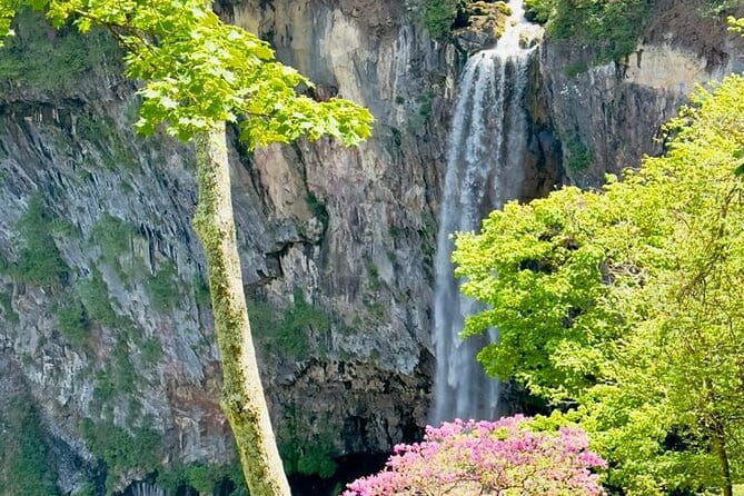 Full-Day Private Nikko Tour From Tokyo Wd English Speaking Driver - Customer Reviews