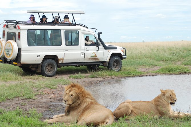 Full-Day Private Serengeti Safari From Mwanza - Key Points