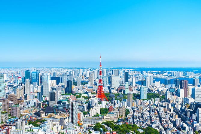 Full Day Private Shore Tour in Tokyo From Yokohama Cruise Port - Highlights of the Tour Experience