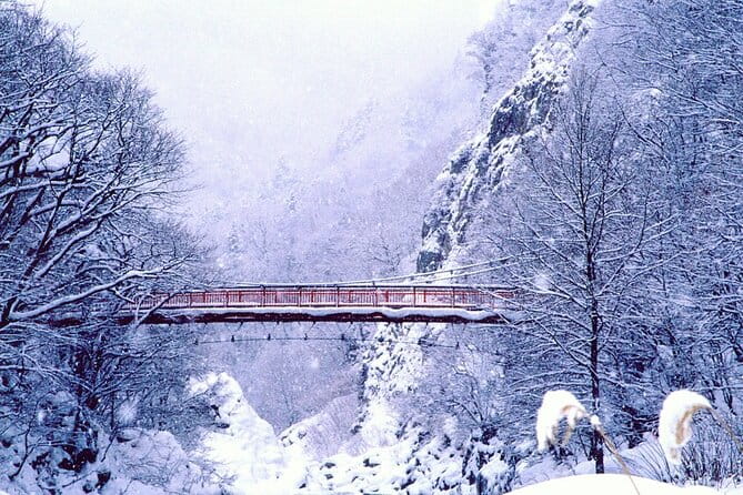 Full Day Private Skiing / Snowboarding Tour in Sapporo - Meeting and Pickup