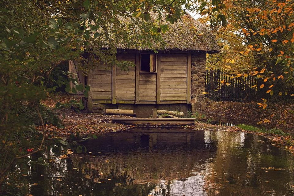 Full Day Private Tour Cliffs of Moher and Bunratty Castle - Pickup and Drop-off