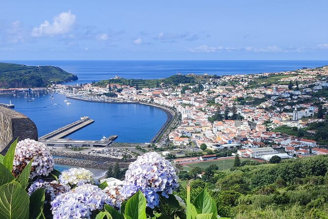Full-Day Private Tour - Faial Island - Why this tour is a fantastic way to see Faial