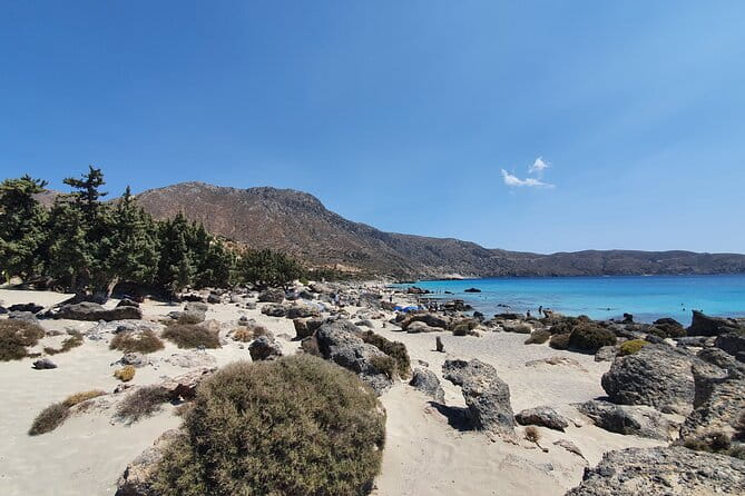 Full-Day Private Tour in Elafonisi Pink Beach - Who Is This Tour Perfect For?