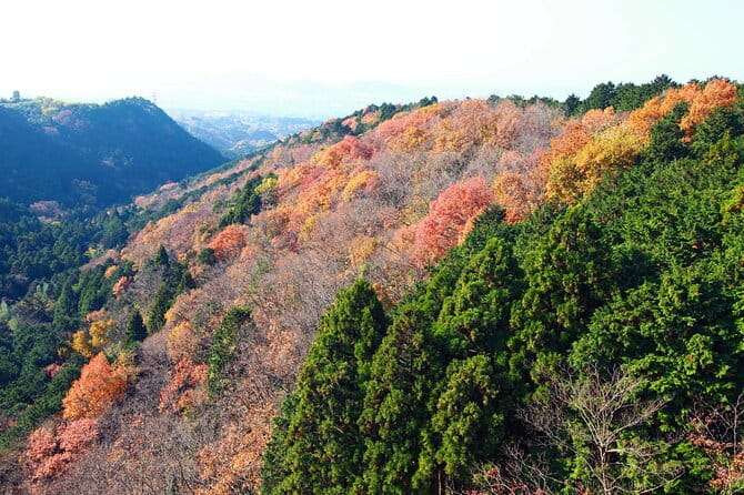 Full Day Private Tour in Hakone - Highlights of the Tour