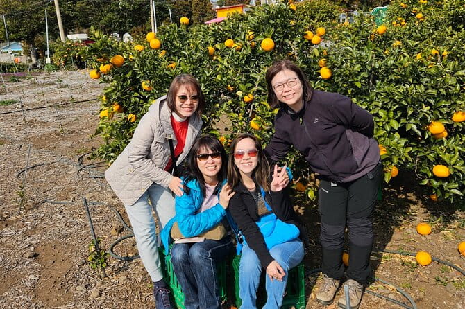 Full-Day Private Tour in Jeju Island - Frequently Asked Questions