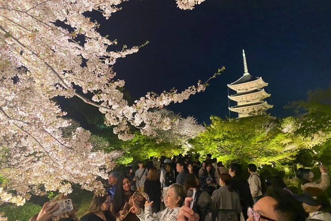 Full Day Private Tour in Kyoto With Pickup - Pickup and Drop-off Information