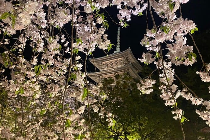 Full Day Private Tour in Kyoto With Pickup - What to Bring and Wear