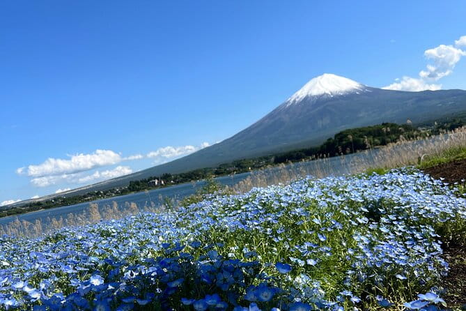 Full Day Private Tour in Mount Fuji and Hakone - Itinerary Highlights
