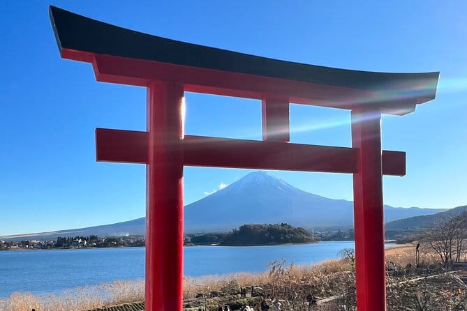 Full Day Private Tour in Mount Fuji and Hakone - Inclusions and Amenities