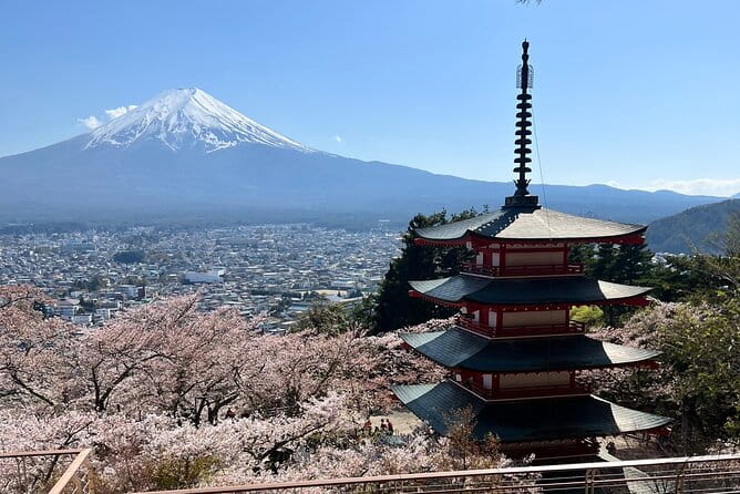 Full Day Private Tour in Mount Fuji and Hakone - Meeting and Pickup Details