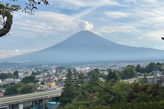 Full Day Private Tour in Mount Fuji and Hakone - Customer Reviews and Feedback