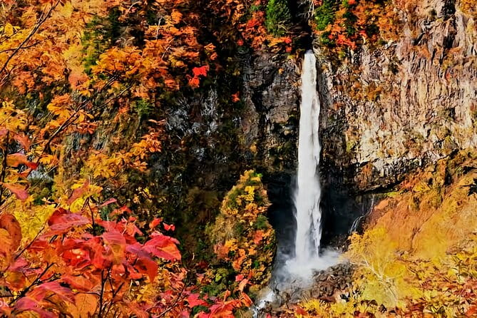 Full Day Private Tour in Nikko - Itinerary