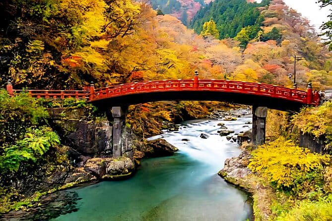 Full Day Private Tour in Nikko - Accessibility and Participation