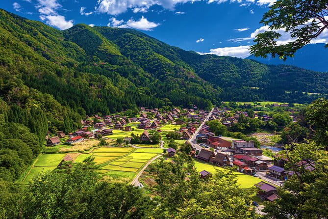 Full Day Private Tour in Takayama and Shirakawago - Private Transportation and Guide