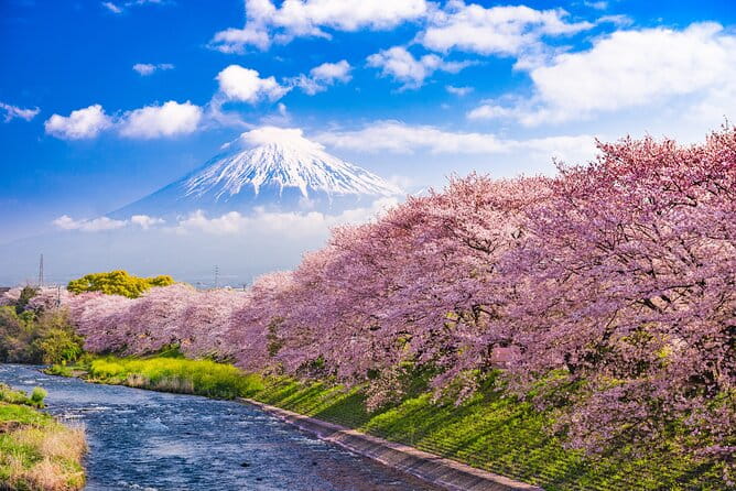 Full Day Private Tour Mt. Fuji, Hakone and Lake Ashi - Tour Guide Expertise