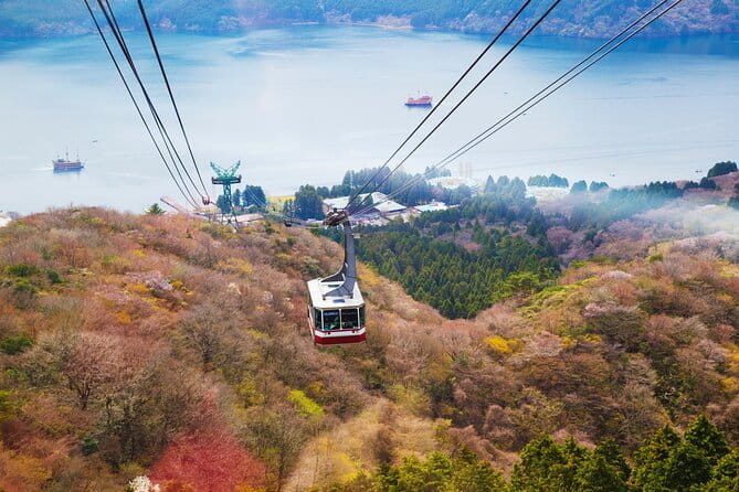 Full Day Private Tour Mt. Fuji, Hakone and Lake Ashi - Pricing and Booking Information