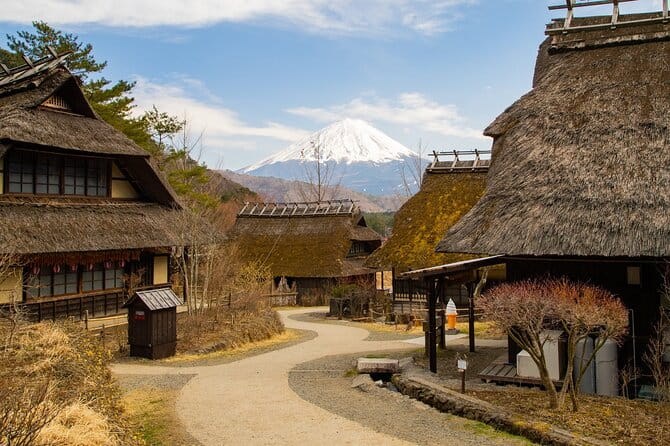 Full Day Private Tour of Mt Fuji and Hakone - Inclusions and Admission Fees