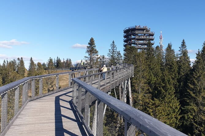 Full-Day Private Tour of Slovakia Treetop Walk and Zakopane - A Detailed Look at the Experience