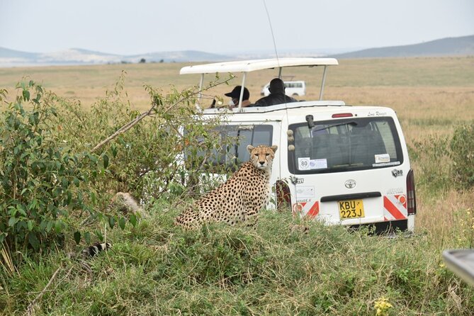 Full-Day Private Tour of Tsavo East National Park From Mombasa - Pricing and Cancellation