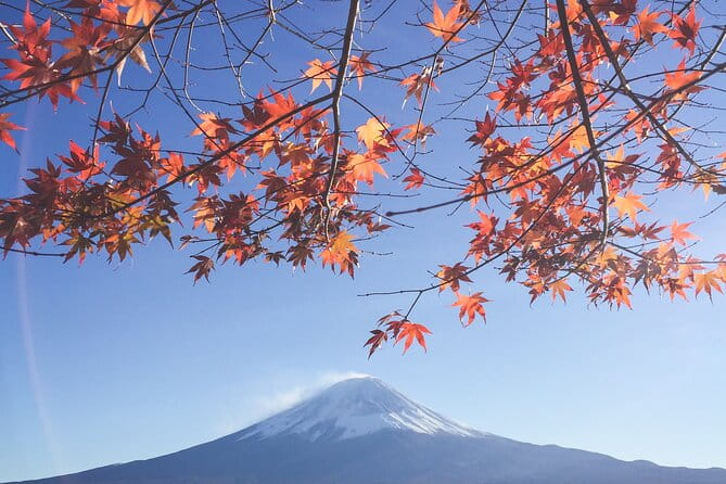 Full Day Private Tour to Mt Fuji by Luxury Vehicle - Pickup and Dropoff Information