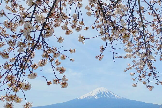Full Day Private Tour to Mt Fuji by Luxury Vehicle - Tour Experience Details