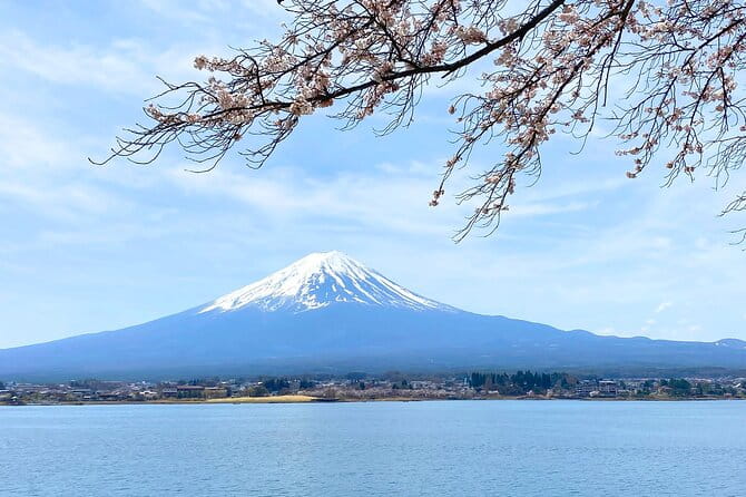 Full Day Private Tour to Mt Fuji by Luxury Vehicle - Accessibility and Transportation